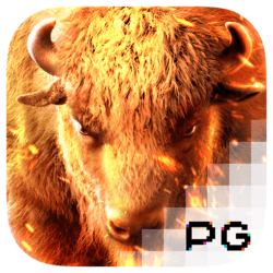 Buffalo Win เงินรางวัลกระทิง